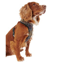 Barbour - Pettorina per cani Tartan - Pettorine