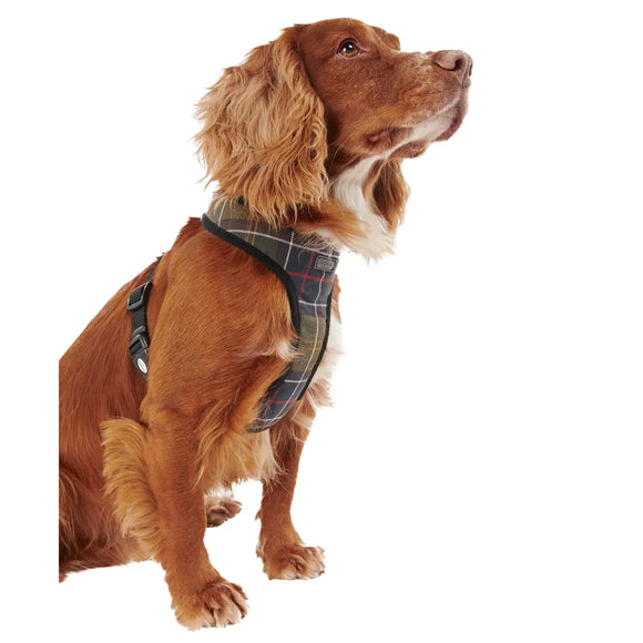 Barbour - Pettorina per cani Tartan - Pettorine