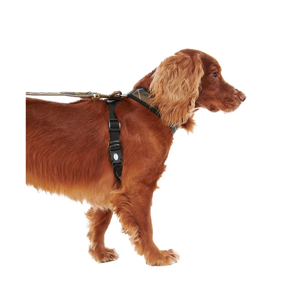 Barbour - Pettorina per cani Tartan - Pettorine