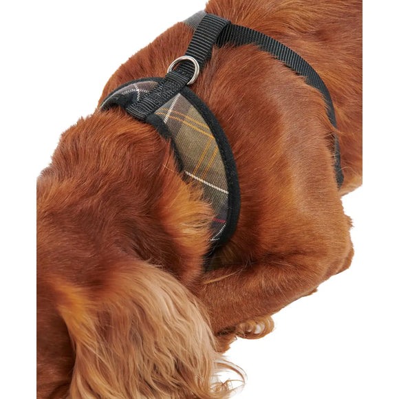 Barbour - Pettorina per cani Tartan - Pettorine