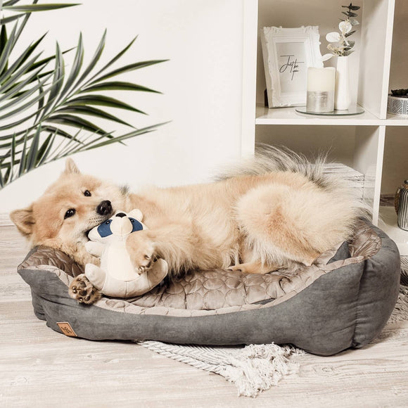 Ne&no® Gioco robusto per cani con squeaker - Procione Wally