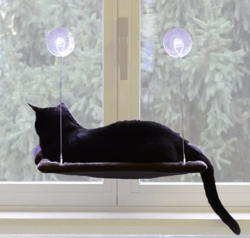 United Pets - Cat View - 0