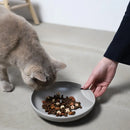 Hoopo Katzennapf Plate-6