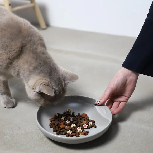 Hoopo Katzennapf Plate
