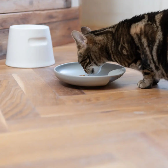 Hoopo Katzennapf Plate