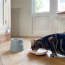 Hoopo Katzennapf Plate-15