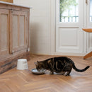 Hoopo Katzennapf Plate-14
