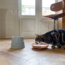 Hoopo Katzennapf Plate-12