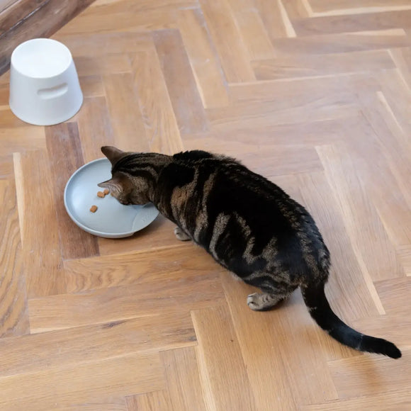 Hoopo Katzennapf Plate