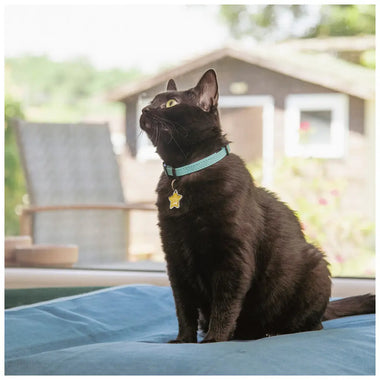 My Family - Collier en cuir pour chats Firenze - 0