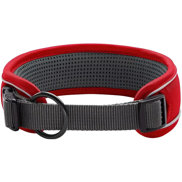Collari Divo Rosso e Grigio - XL - 55-65
