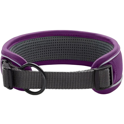 Collari Divo Viola e Grigio - XL - 55-65