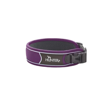 Collari Divo Viola e Grigio - XL - 55-65