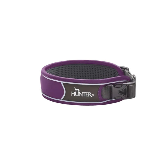 Collari Divo Viola e Grigio - XL - 55-65