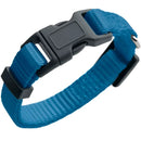 Collari London Azzurro - S 24-36
