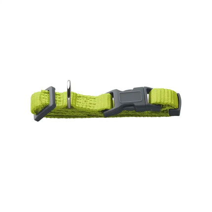 Collari London Lime