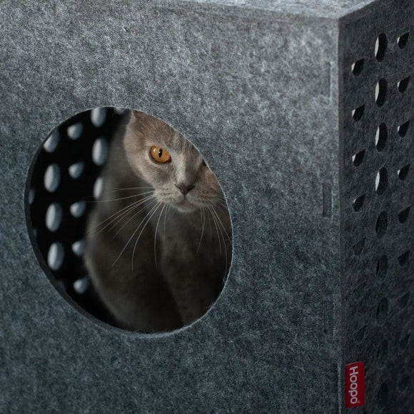 Hoopo Cube - gioco in feltro per gatti