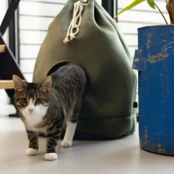 Designed By Lotte - Cat Home Vilar Verde - Cucce