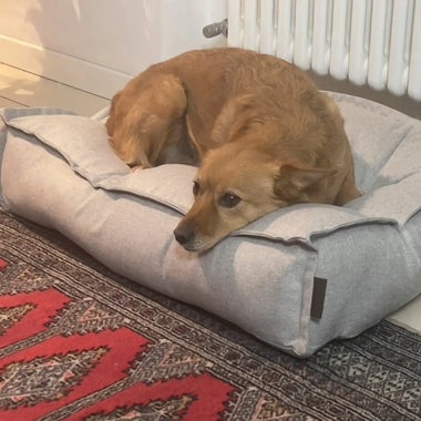 Dog Bed Elegance - Cucce