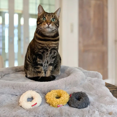 Hoopo Mini Donuts juguetes para gatos, set de 3