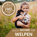 Ne&no® Gioco per cane resistente con stridio - Coniglio Haru-11