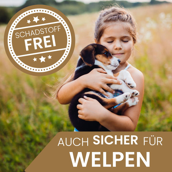 Ne&no® Gioco per cane resistente con stridio - Coniglio Haru