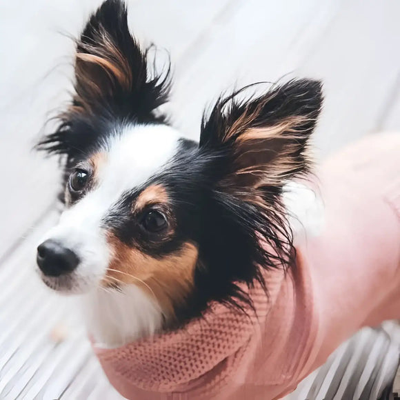 Hunter - Pullover Rögla Rosa - Maglioncini