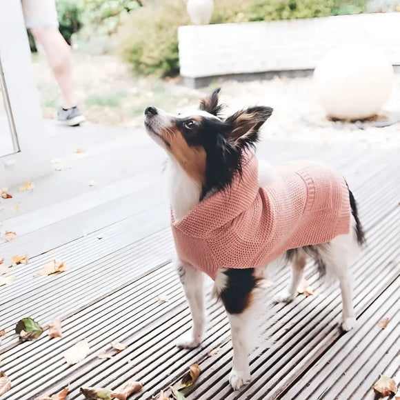Hunter - Pullover Rögla Rosa - Maglioncini