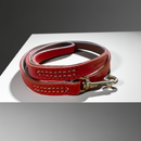 Pet Boutique - Elegant Laisse en cuir-2