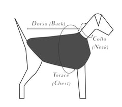 The Striped Dog - Sunset Crema