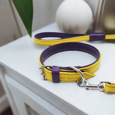 Jet Line set in Pelle Giallo & Melanzana - Guinzagli