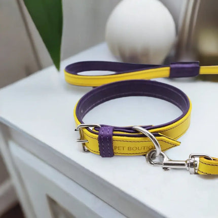 Jet Line set in Pelle Giallo & Melanzana - Guinzagli