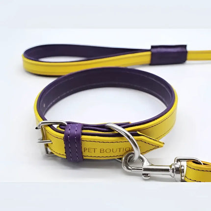 Jet Line set in Pelle Giallo & Melanzana - XXS - Guinzagli