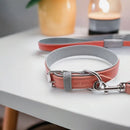 Jet Line set in Pelle Salmone & Mercurio - Guinzagli
