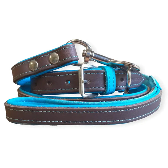 Jet Line set in Pelle Testa di Moro & Turchese - XS - Guinzagli