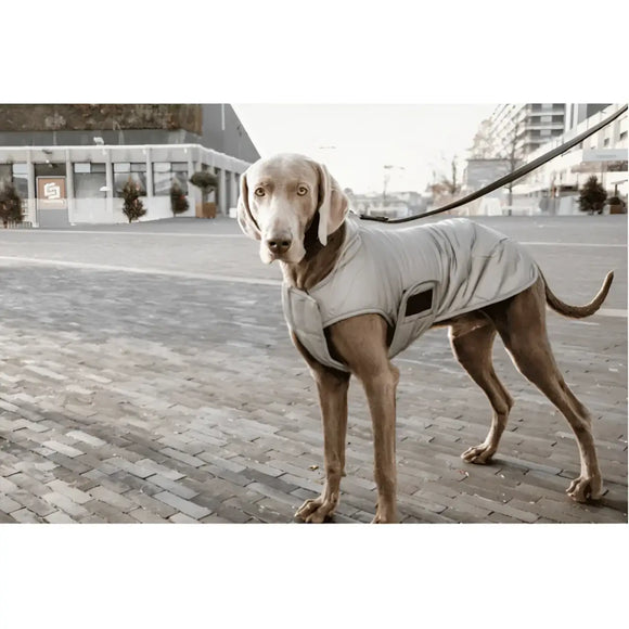 Kentucky - Belly Cover Cappotto per cani Riflettente e idrorepellente - S - Impermeabili