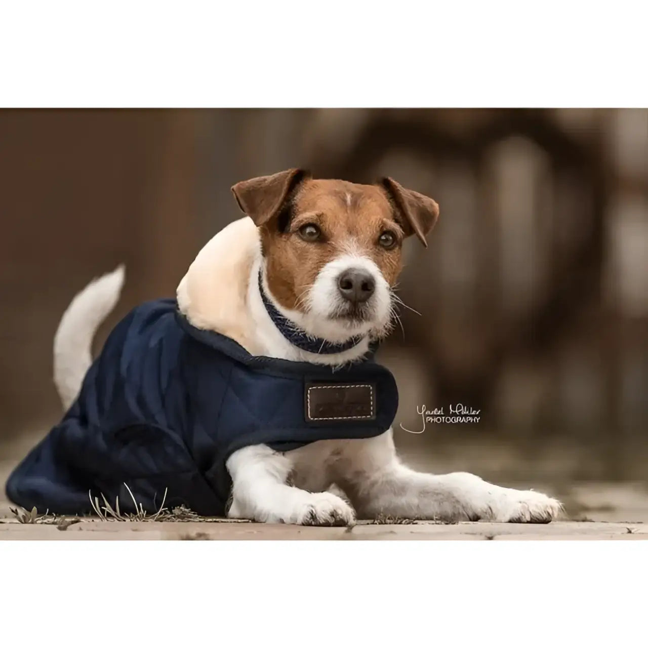 Kentucky - Cappotto Original - Cappottini