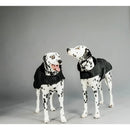 Kentucky - Cappotto Original Black - Cappottini
