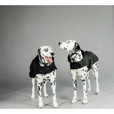 Kentucky - Cappotto Original Black - Cappottini