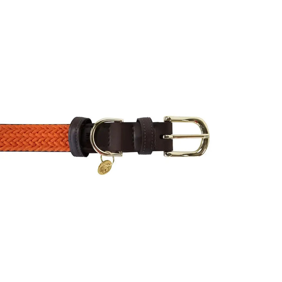 Kentucky - Collare per cani in nylon intrecciato Arancione - Collari