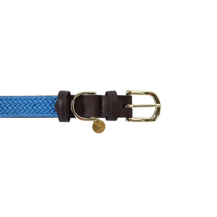 Kentucky - Collare per cani in nylon intrecciato Azzurro - Collari