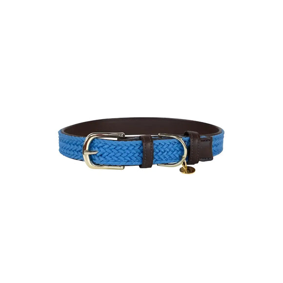Kentucky - Collare per cani in nylon intrecciato Azzurro - XS - Collari
