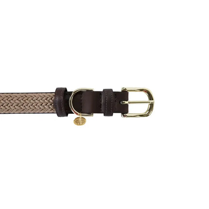 Kentucky - Collare per cani in nylon intrecciato Beige - Collari