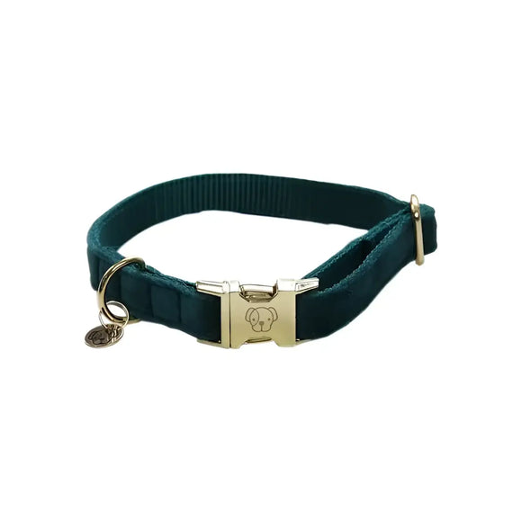 Kentucky - Collare per cani in velluto Smeraldo - XS - Collari