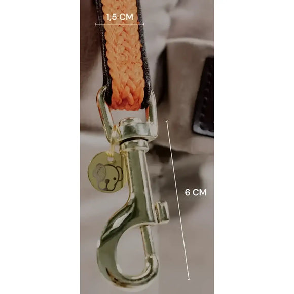 Kentucky - Guinzaglio regolabile per cani in nylon intrecciato Beige - Guinzagli