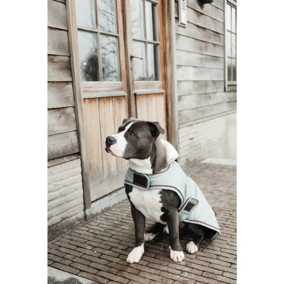 Kentucky - Impermeabile per cani 160gr - Impermeabili
