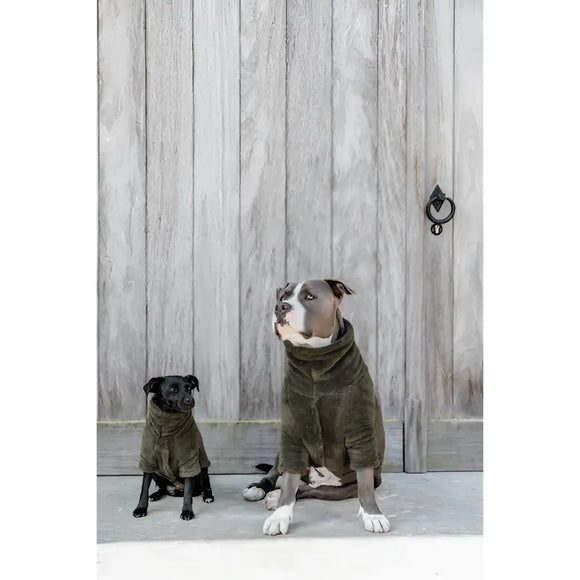 Kentucky - Maglione per cani Teddy Fleece - Maglioncini