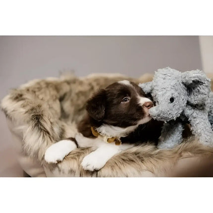 Kentucky - Peluche per Cani Elefante Elsa - Giochi