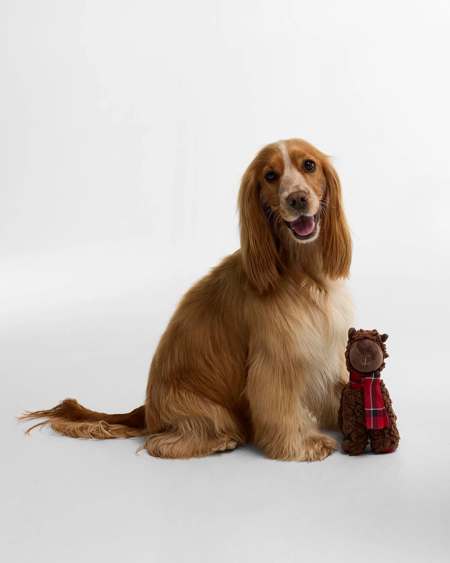 Barbour Jouet pour chien en forme de lama