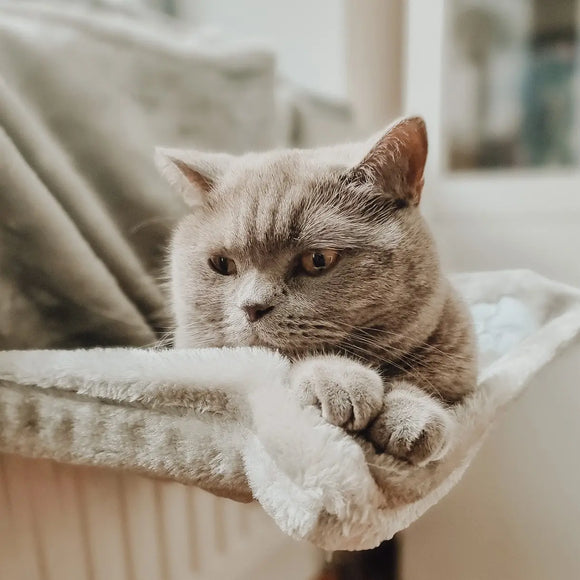 Ne&No - Adjustable Radiator Cat Bed